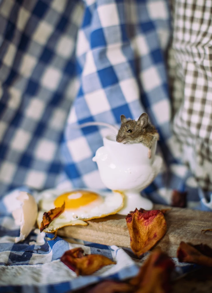 -ppprise de vue sans titre3732 nature morte avec souris et coquetier